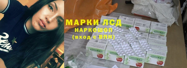 стаф Абаза