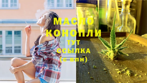 СК Алексин