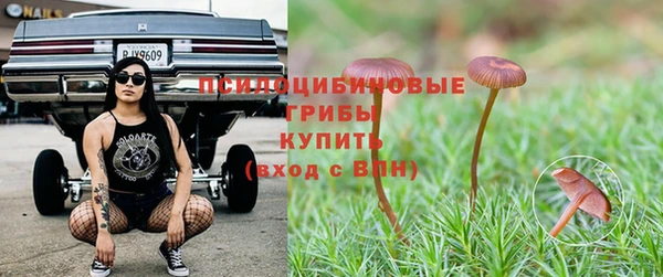 ALPHA-PVP Арсеньев