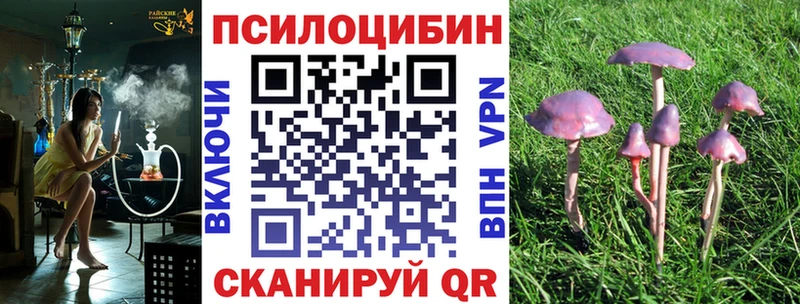 Псилоцибиновые грибы Cubensis  Карасук 
